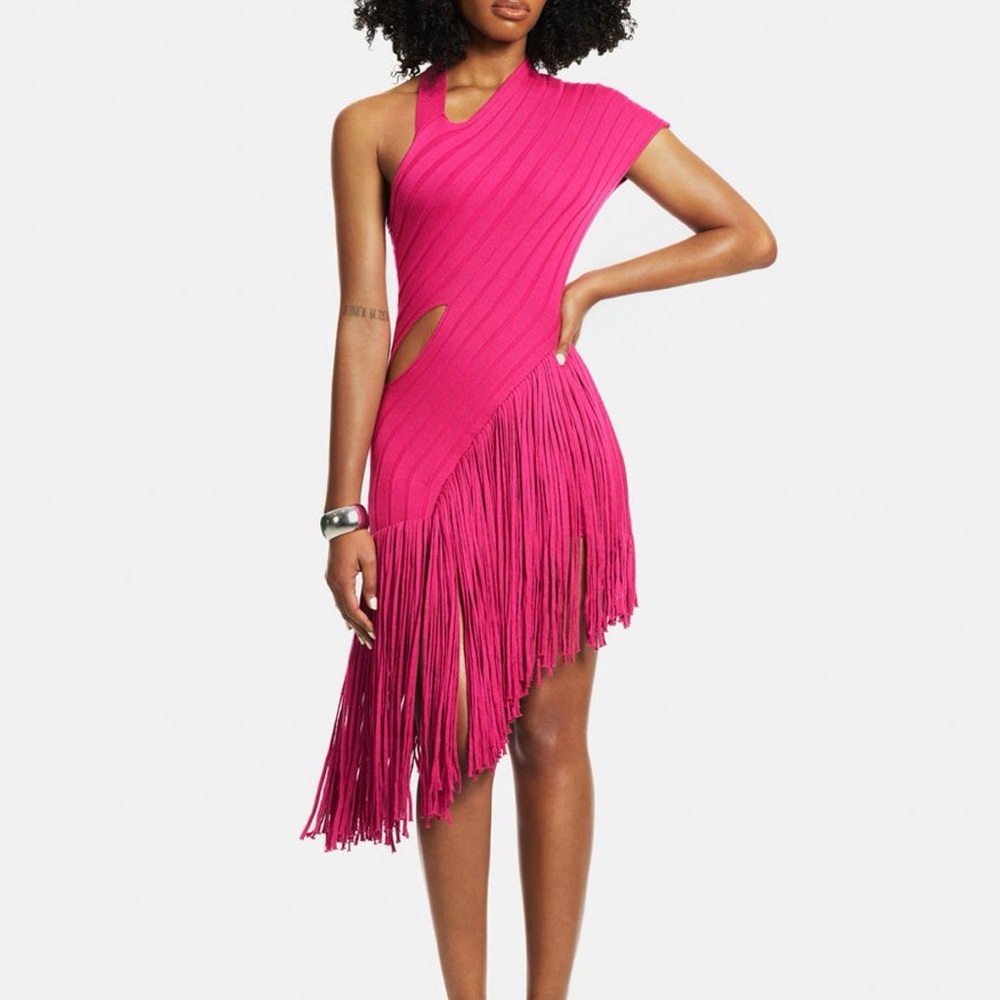 Hanifa Lea Knit Fringe Dress II - Pink Asymmetrical Pleated One-Shoulder Dress